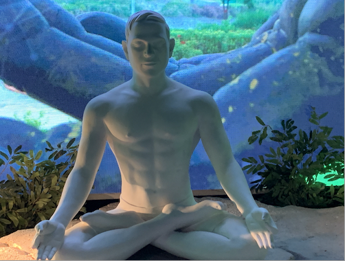 SkyDancing Tantra & Erotypes