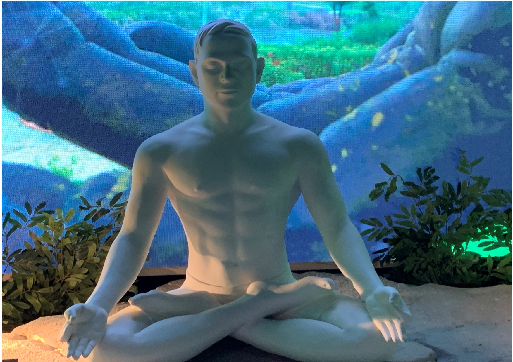 SkyDancing® Tantra & Erotypes 